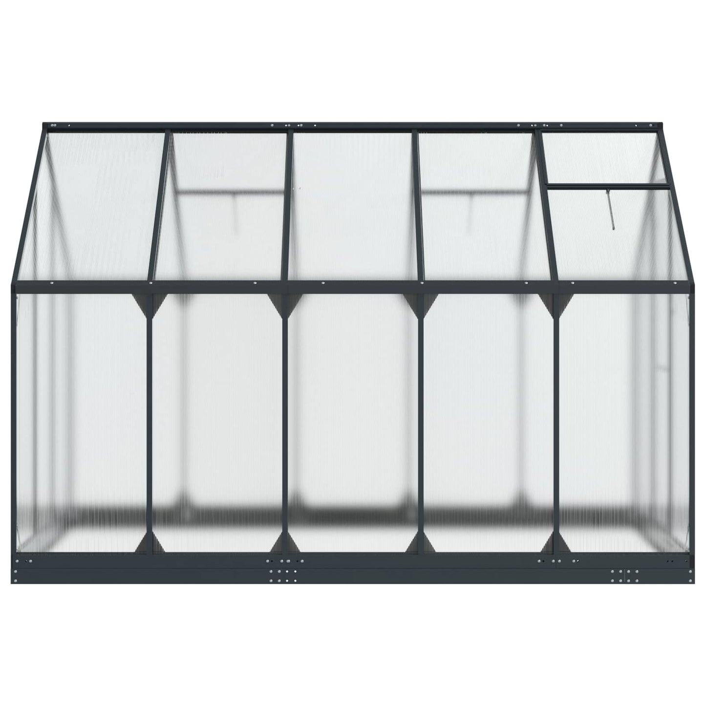 vidaXL Garden Greenhouse with Door Anthracite 183.5 x 303.5 x 207 cm