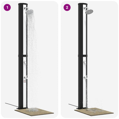 vidaXL Solar Shower with Shower Head and Faucet 40 L Black and Silver