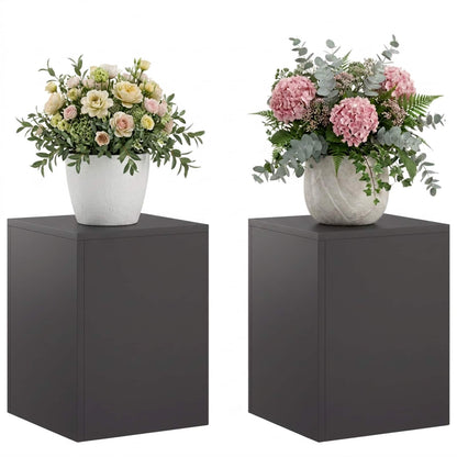 vidaXL Plant Stand 2 pcs Black 30 x 30 x 40 cm Steel