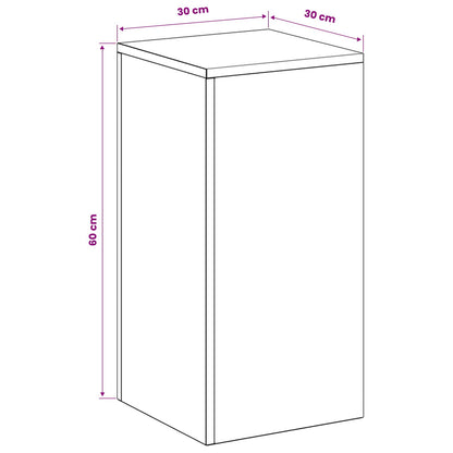 vidaXL Plant Stand 2 pcs Anthracite 30 x 30 x 60 cm Galvanised Steel