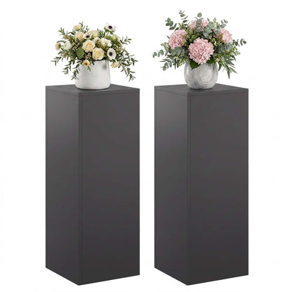 vidaXL Plant Stand 2 pcs Black 30 x 30 x 80 cm Steel