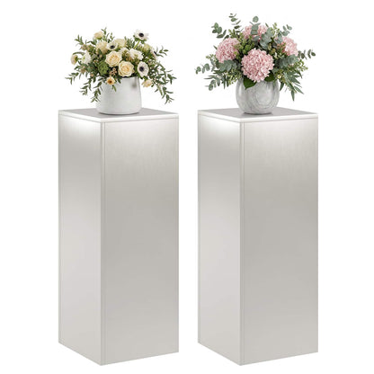 vidaXL Plant Stand 2 pcs Silver 30 x 30 x 80 cm Steel