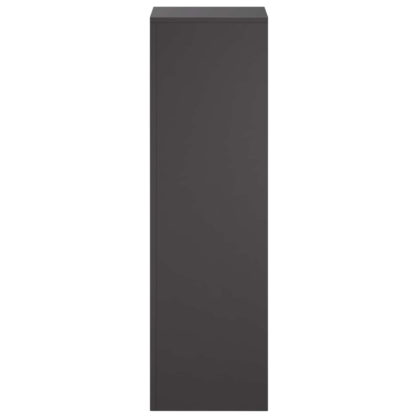vidaXL Plant Stand 2 pcs Black 30 x 30 x 100 cm Steel