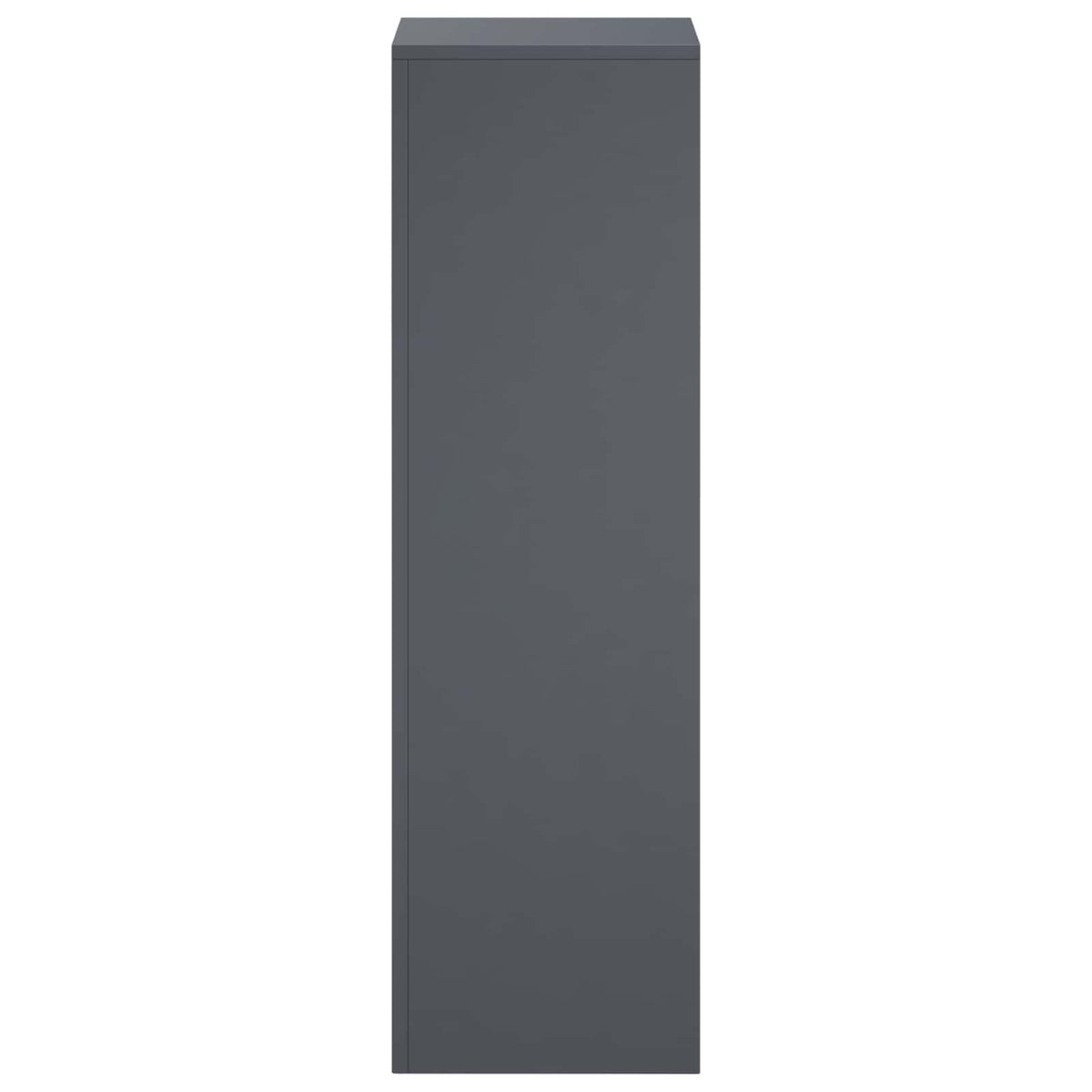 vidaXL Plant Stand Anthracite 30 x 30 x 100 cm Stainless Steel
