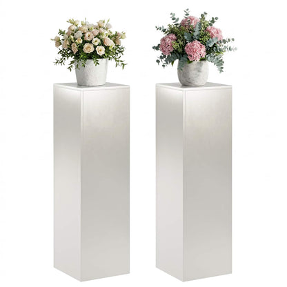 vidaXL Plant Stand 2 pcs Silver 30 x 30 x 100 cm Steel