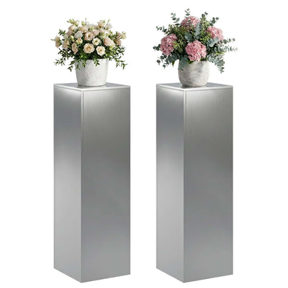 vidaXL Plant Stand 2 pcs Silver 30 x 30 x 100 cm Stainless Steel