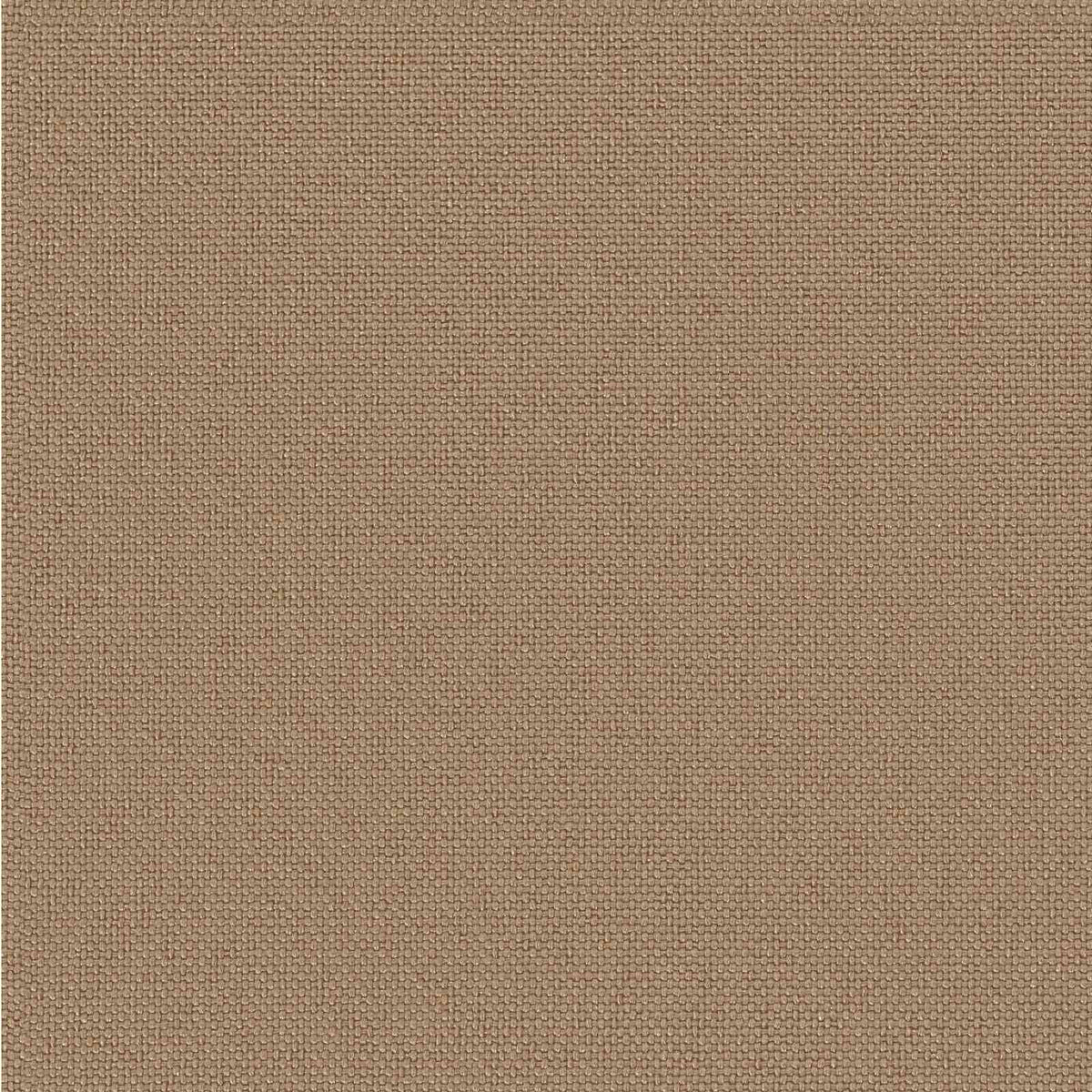 vidaXL 2-Piece Bench Cushions SOEST 2 pcs 100% Polyester Taupe