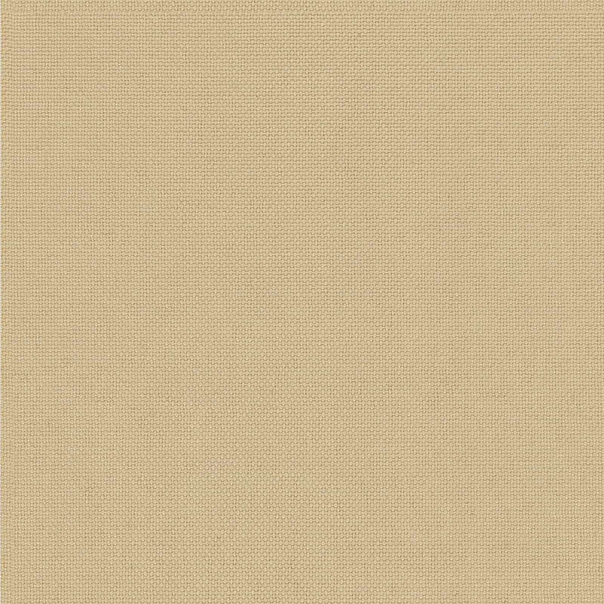 vidaXL 1-Piece Bench Cushion VUGHT 100% Polyester Beige 60 x 50 x 5 cm