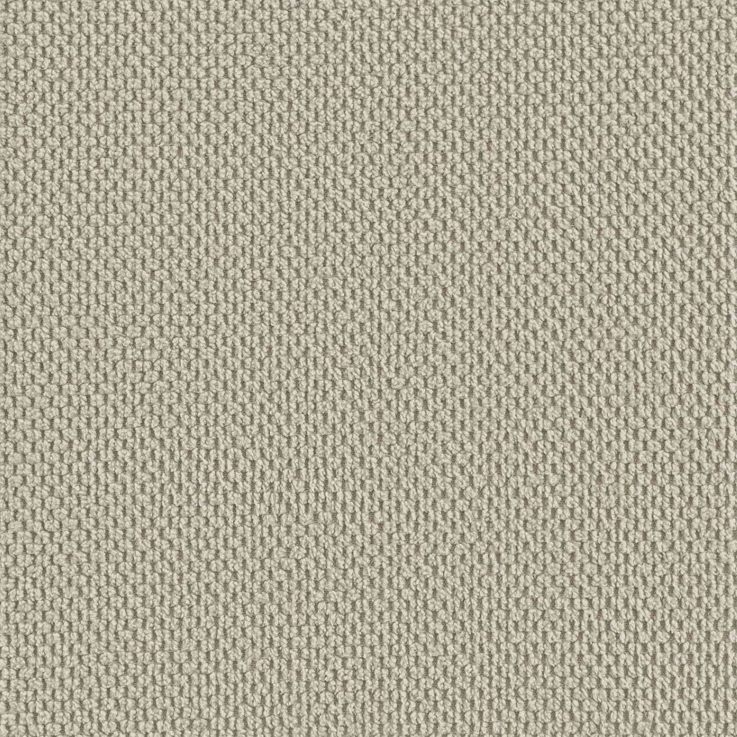 vidaXL Armchair Sand Velvet