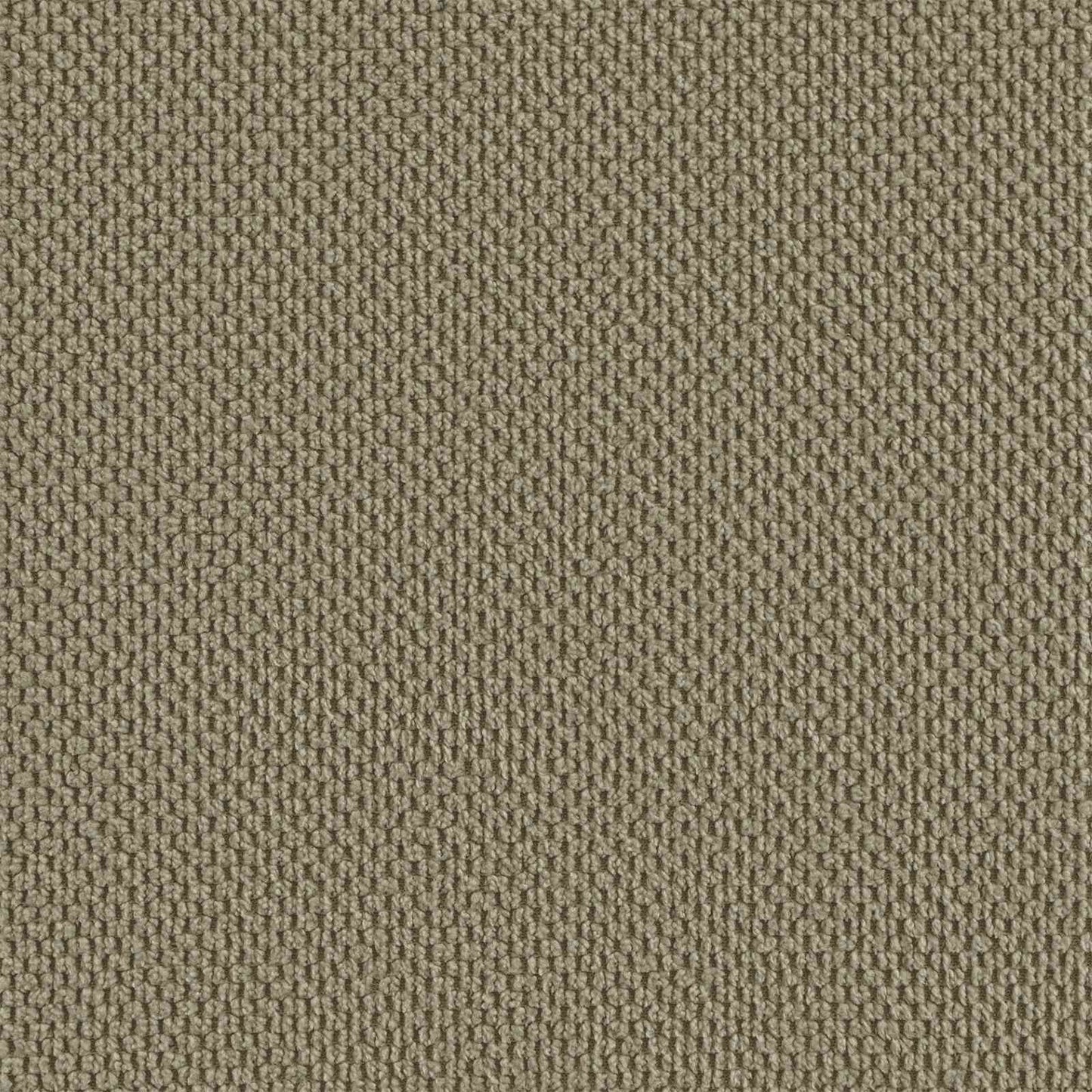 vidaXL Armchair Khaki Velvet