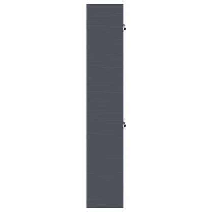 vidaXL Storage Cabinet 2 pcs Anthracite 60 x 40 x 220 cm Steel