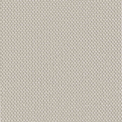 vidaXL XL Armchair Oatmeal Velvet