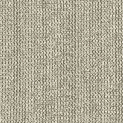 vidaXL XL Armchair Sand Velvet