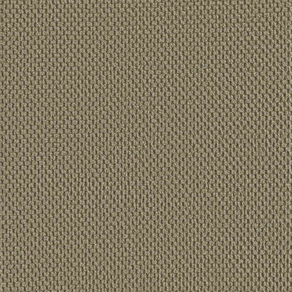vidaXL XL Armchair Khaki Velvet