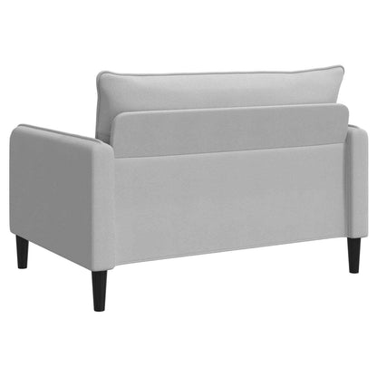 vidaXL XXL Armchair Light Grey Velvet