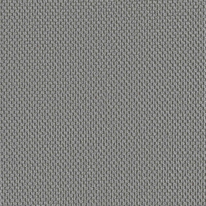 vidaXL XXL Armchair Dark Grey Velvet