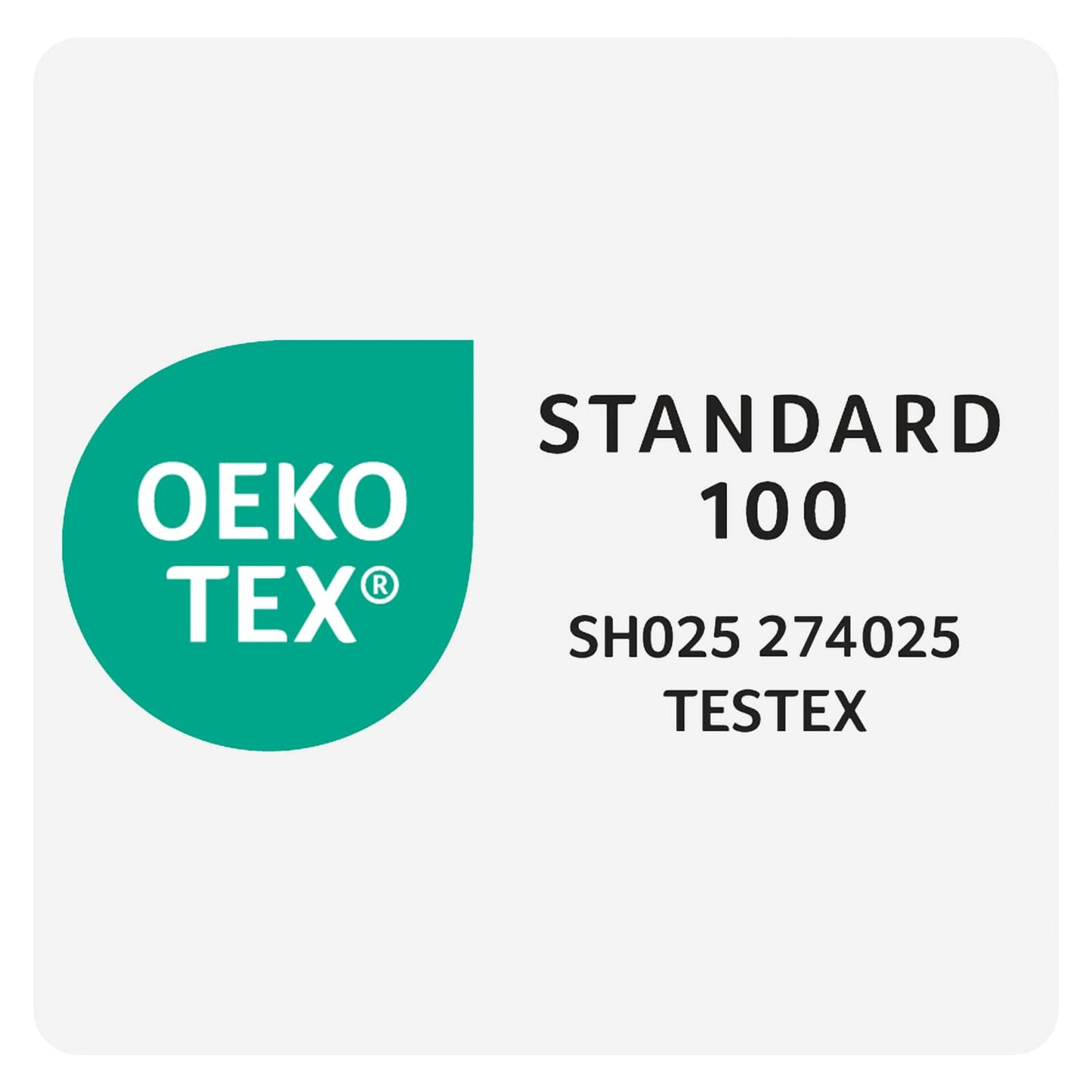 vidaXL 90% Goose Down Duvet Set FULDA 2 pcs 152 x 203 cm Winter White