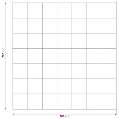 vidaXL 90% Goose Down Duvet Set FULDA 3 pcs 200 x 200 cm Winter White