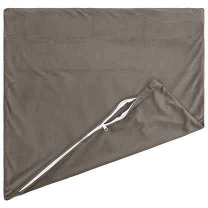 vidaXL Cushion with Pillow HEERLEN 2 pcs Light Grey Velvet