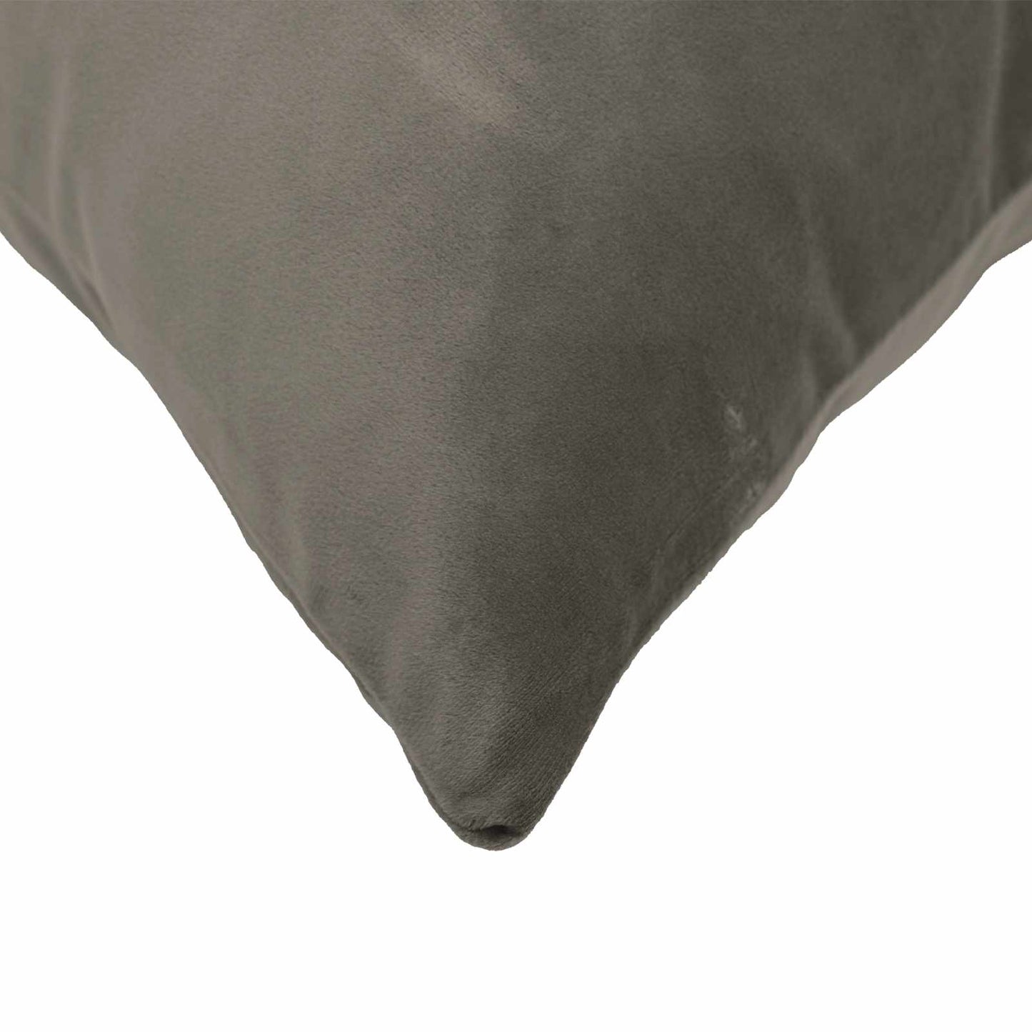 vidaXL Cushion with Pillow HEERLEN 6 pcs Light Grey Velvet