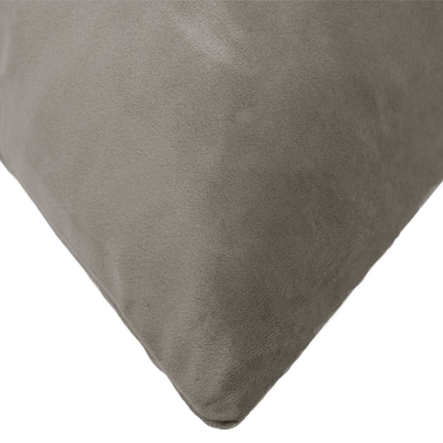 vidaXL Cushion with Pillow HEERLEN 2 pcs Light Grey Velvet