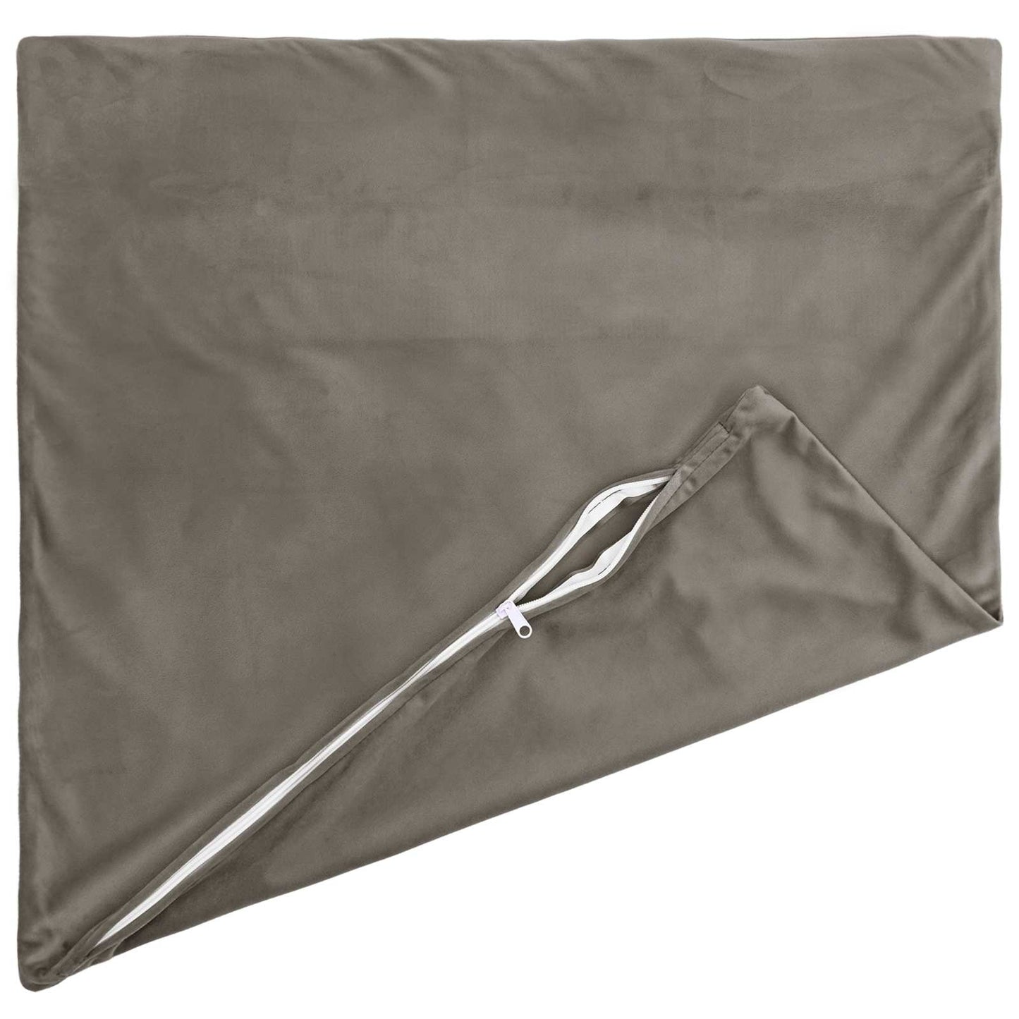 vidaXL Cushion with Pillow HEERLEN 2 pcs Light Grey Velvet