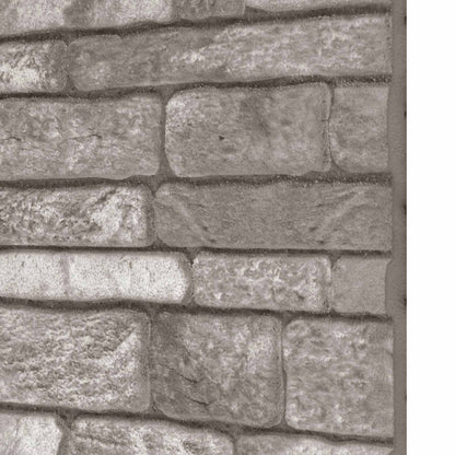 vidaXL Wall Panels 10 pcs Dark Grey 100 x 50 cm EPS Foam