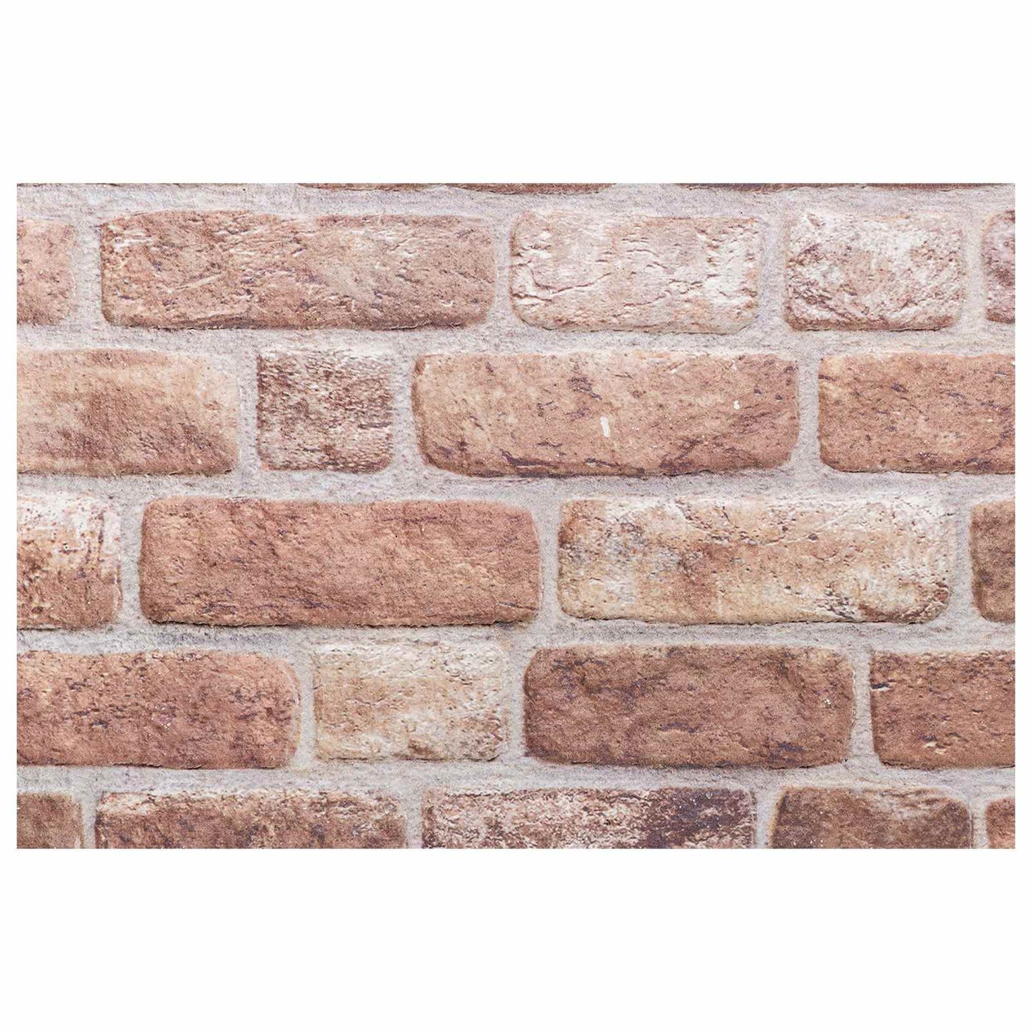 vidaXL Wall Panels 10 pcs Brown 100 x 50 cm EPS Foam