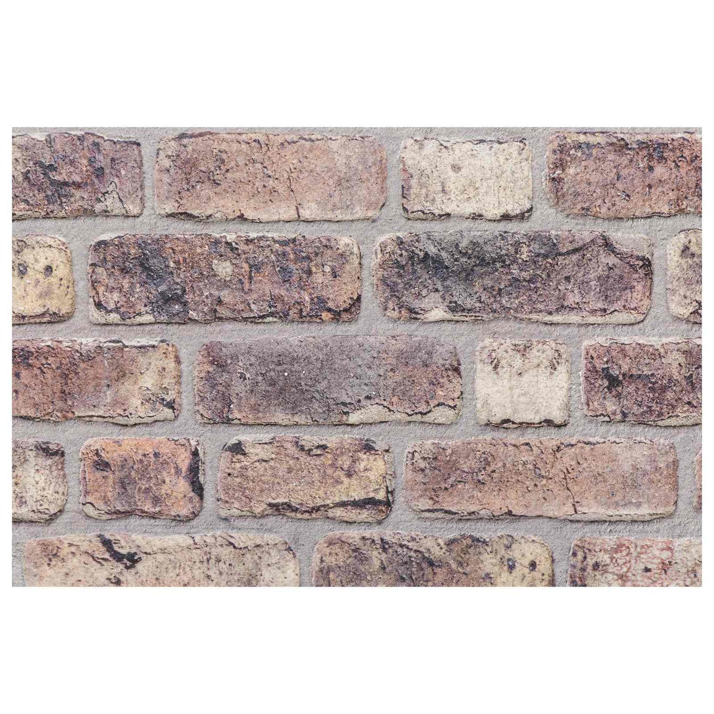 vidaXL Wall Panels 10 pcs Dark Brown 100 x 50 cm EPS Foam