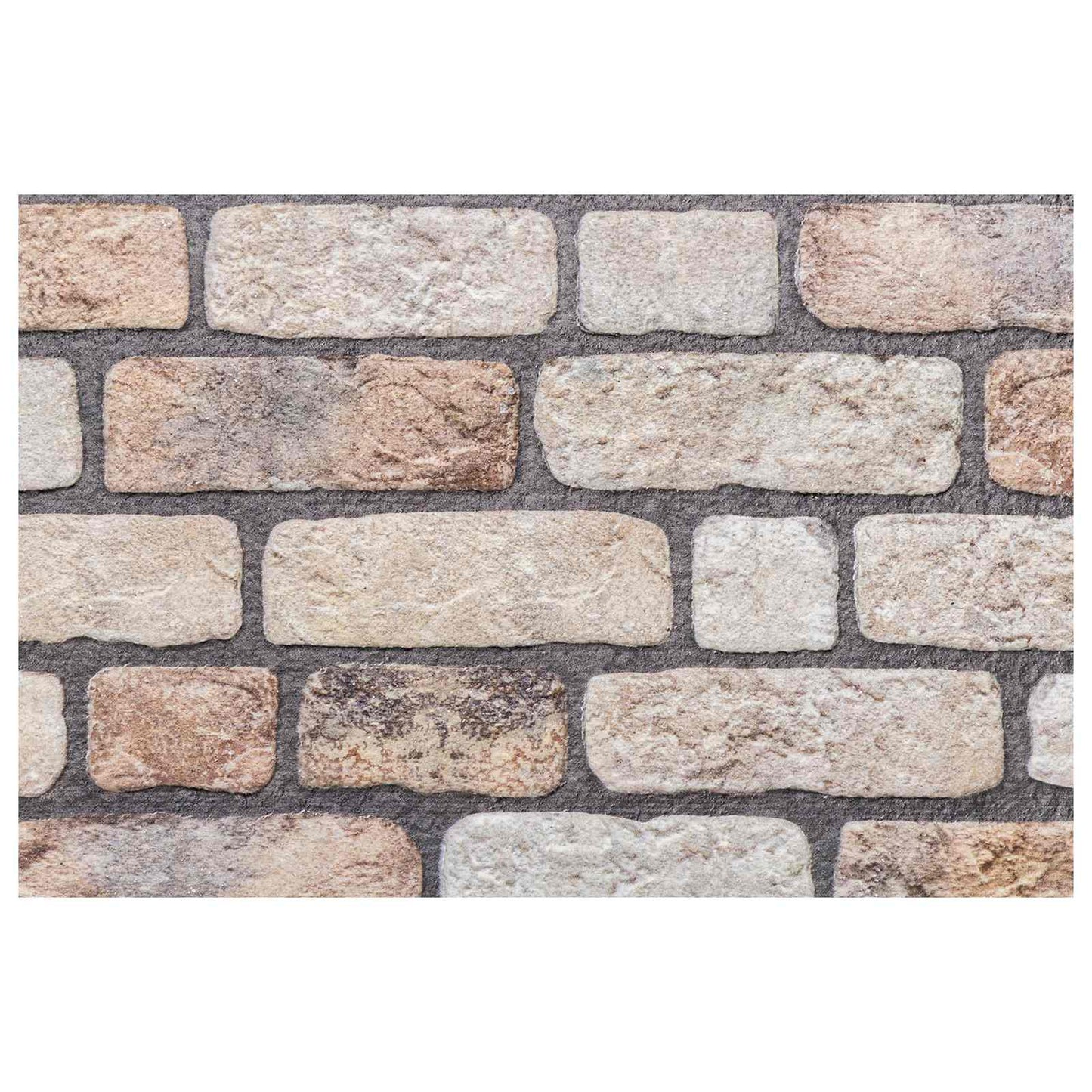 vidaXL Wall Panels 10 pcs Light Brown 100 x 50 cm EPS Foam