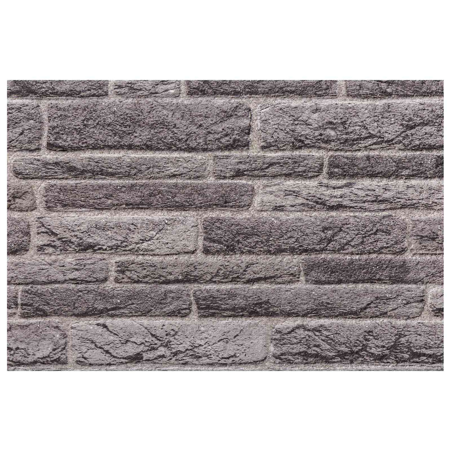 vidaXL Wall Panels 10 pcs Anthracite 100 x 50 cm EPS Foam