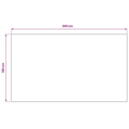 vidaXL Floor Mat Black 1.2 x 2 m Rubber