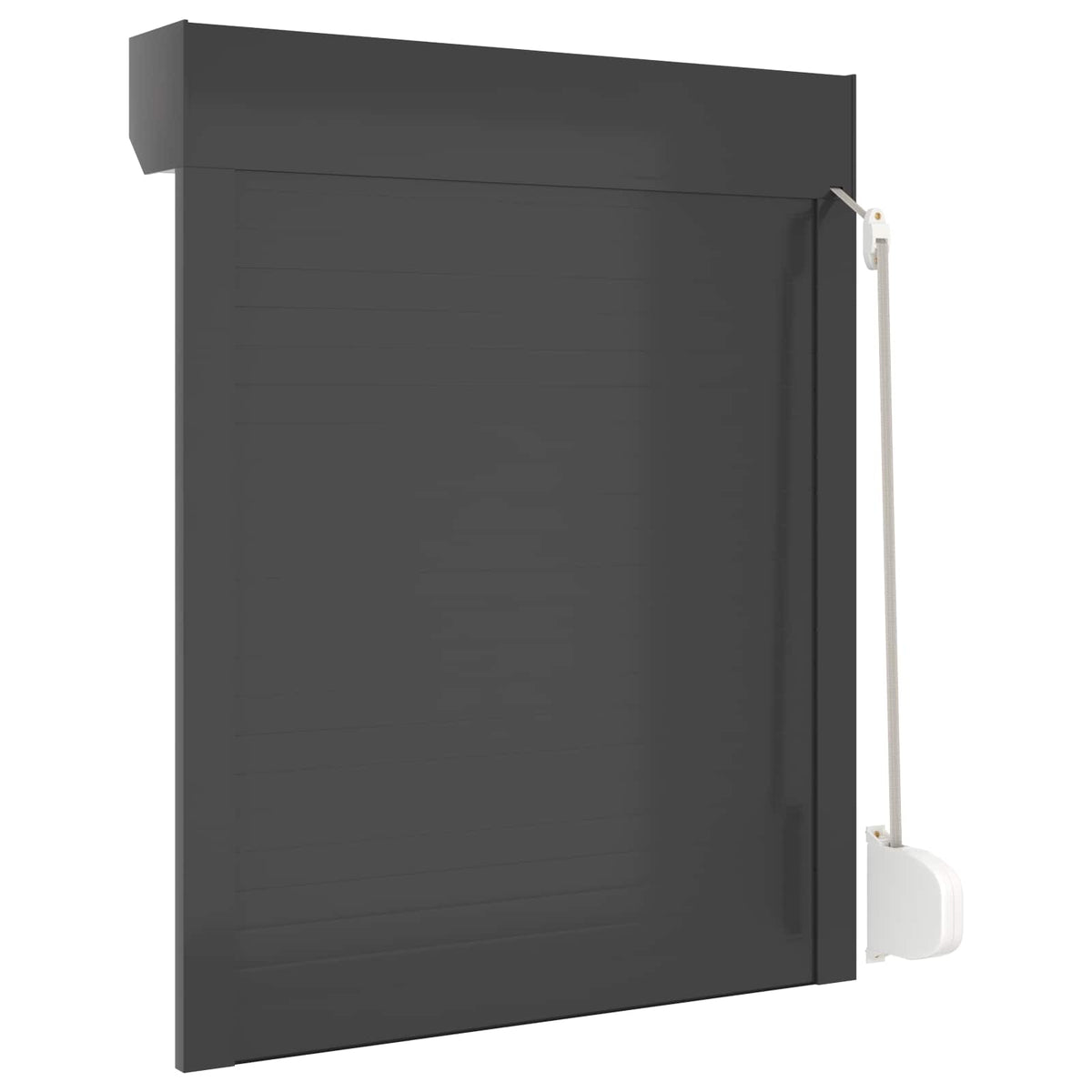 vidaXL Roller Shutter Manual Anthracite 80 x 100 cm