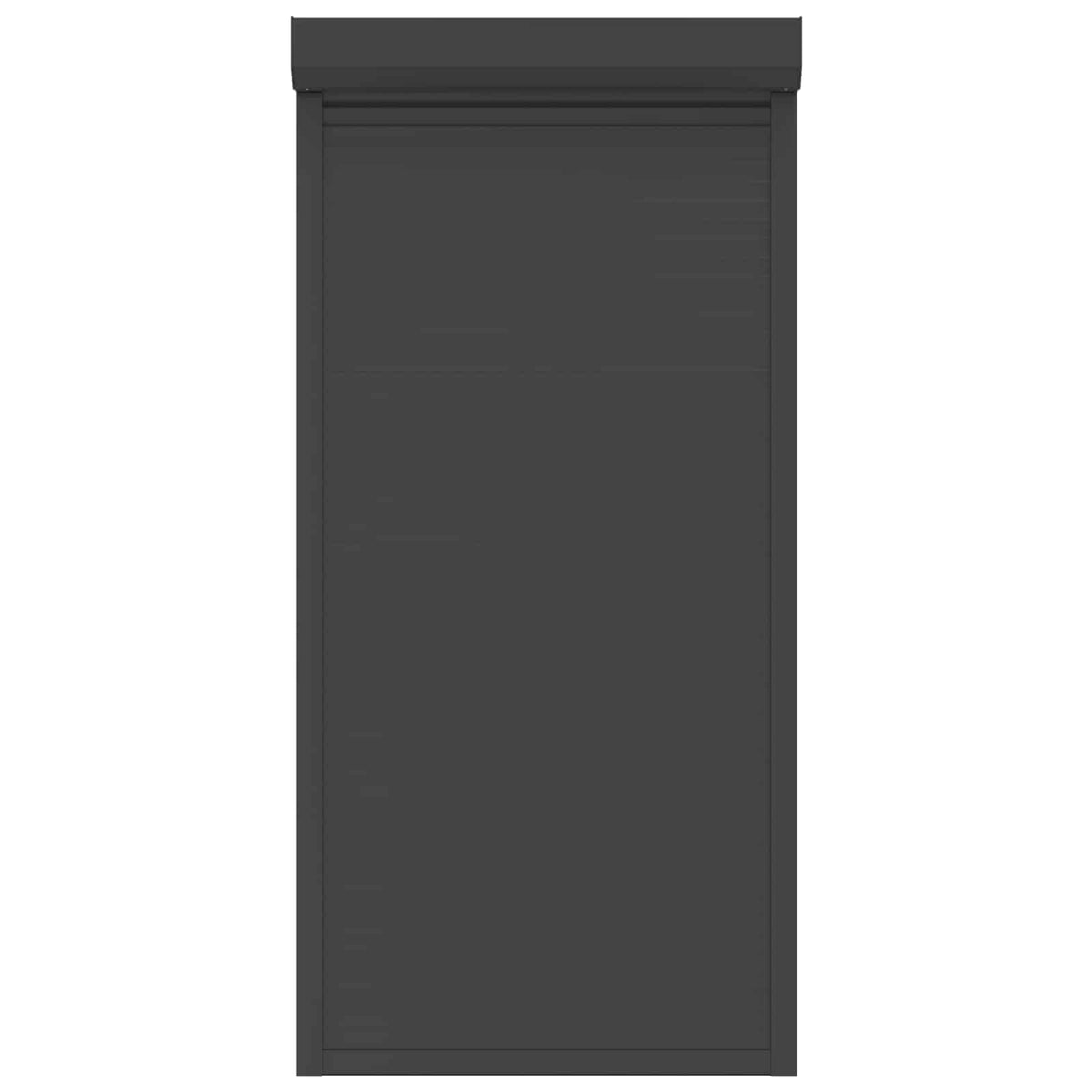 vidaXL Roller Shutter Manual Anthracite 100 x 210 cm