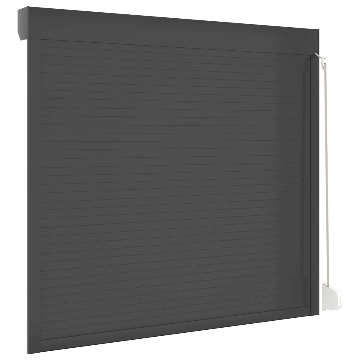 vidaXL Roller Shutter Manual Anthracite 160 x 150 cm