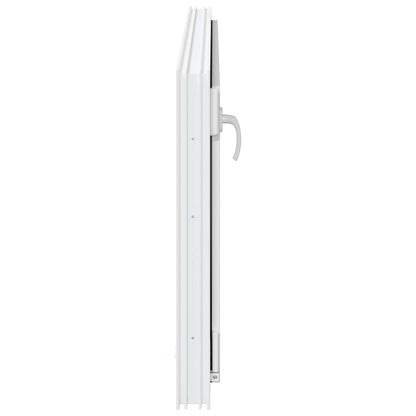 vidaXL Basement Window RISOR 120 x 55 cm PVC and Glass