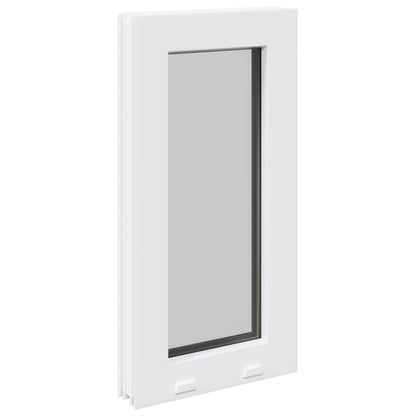 vidaXL Cellar Window Internal Colour White RISOR 30 x 60 cm