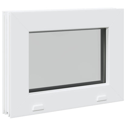 vidaXL Cellar Window Internal Colour White RISOR 40 x 30 cm