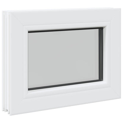vidaXL Cellar Window Internal Colour White RISOR 50 x 35 cm