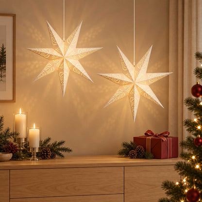 vidaXL Christmas Lighting RAAHE 2 pcs 10 LEDs Warm White