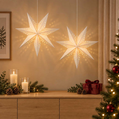 vidaXL Christmas Lighting RAAHE 2 pcs 10 LEDs Warm White
