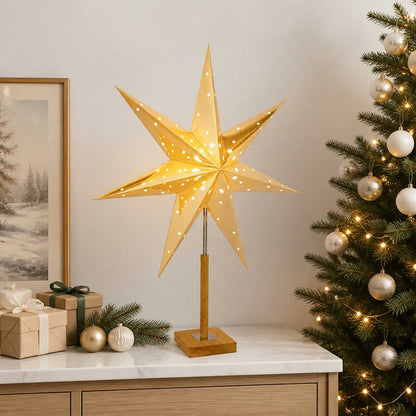 vidaXL Christmas Lighting RAAHE Warm White 55 x 15 x 70 cm