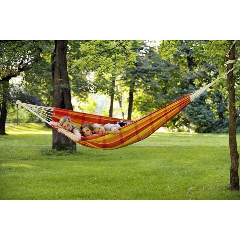 Barbados Papaya Hammock - Amazonas Online UK