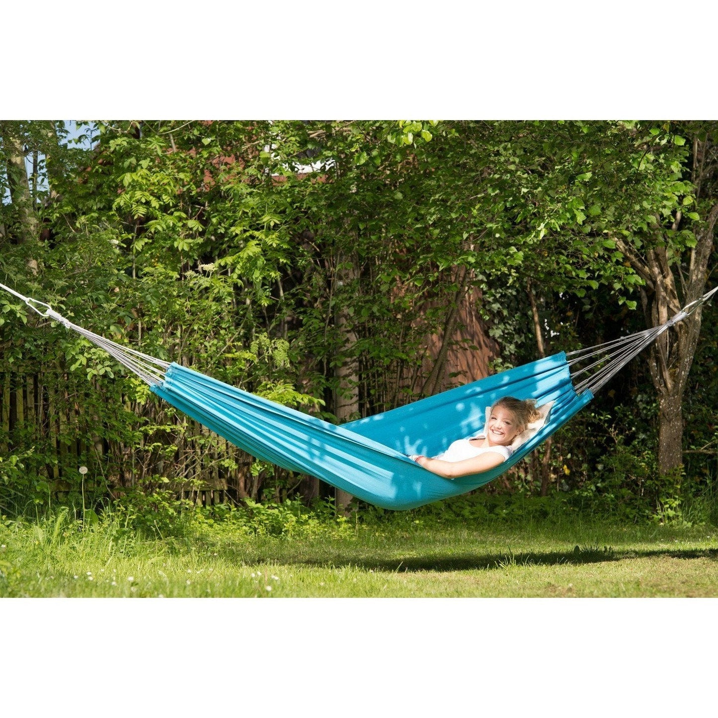 Florida Aqua Hammock - Amazonas Online UK