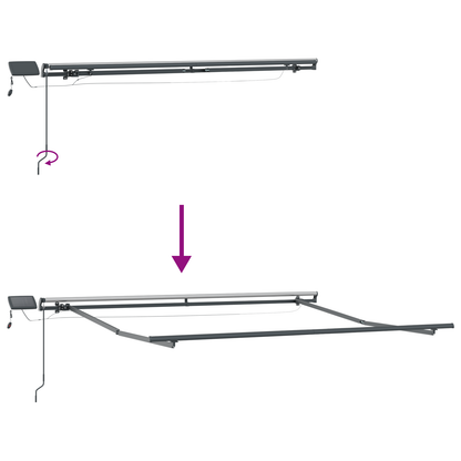 vidaXL Manual Retractable Awning with LED Black 350x250 cm
